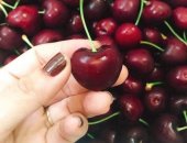 [HOT] – Lô Cherry Mỹ trái cực to vừa cập bến Green House