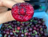 9 công dụng tuyệt vời mà quả Cherry mang lại cho sức khỏe