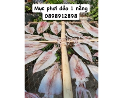 Mực phơi dẻo 1 nắng