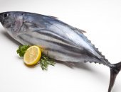 Bạn biết gì về lợi ích của cá ngừ bò?