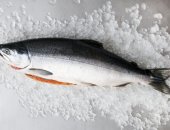 Cá hồi tươi Nauy organic – Thực phẩm “Siêu xịn” ngon bổ cho sức khỏe!