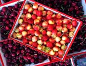 Hộp quà Cherry - Món quà cho sức khỏe