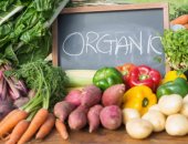 Thực phẩm hữu cơ có công dụng gì đối với sức khỏe? 