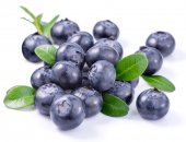 Công dụng tuyệt vời cho sức khỏe của việt quất (blueberry)